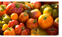 heirloom tomatoes