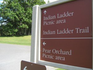 Thacher Park’s Pear Orchard 