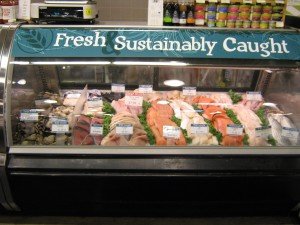 Fish counter at Honest Weight Food Co-op in Albany, New York 