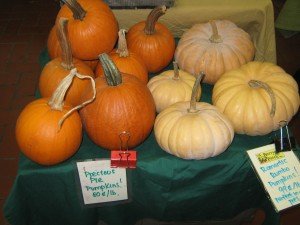 The Berry Farm’s creamy colored rombo pumpkins for sale at Troy Farmers Market 