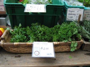 Fresh curly parsley from NOFA-NY certified organic Slack Hollow Farm 