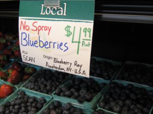 Blueberry Ray’s no-spray berries for sale at Honest Weight Food Co-op in Albany, NY