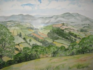 Drayton Darcy’s wonderful watercolors adorn the walls of the café including a landscape of farm fields in Herefordshire, England