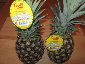 Pineapples Growing In Providence, R.I., An Unlikely Reminder That 99.9% Grown In Other Countries