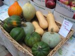 Sourcing Healthy Foods In Winter At Year Round Farmers Market In Frigid Upstate NY